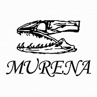 Балансиры "MURENA"