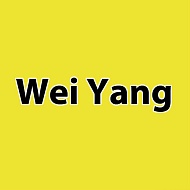 Колеблющиеся блесны "WEI YANG"